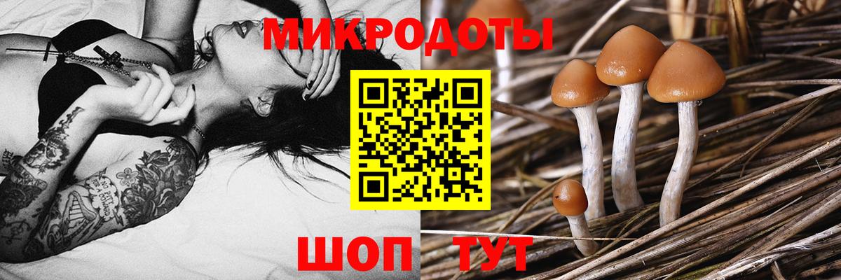 Кокаин  Каннабис  Экстази  ГАШИШ  Ишим  Вход с VPN  Мефедрон  